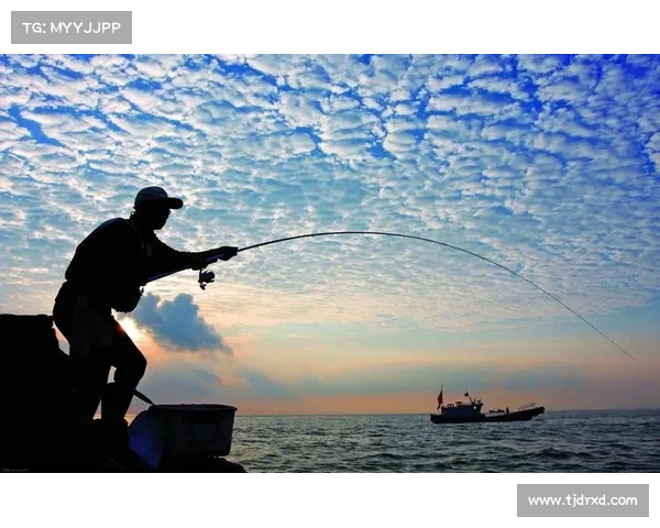 现代钓鱼操作通过Telegram实现